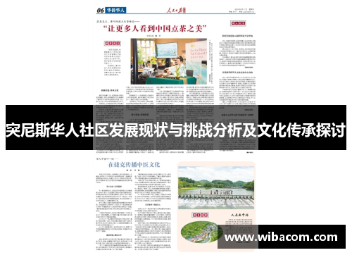 突尼斯华人社区发展现状与挑战分析及文化传承探讨