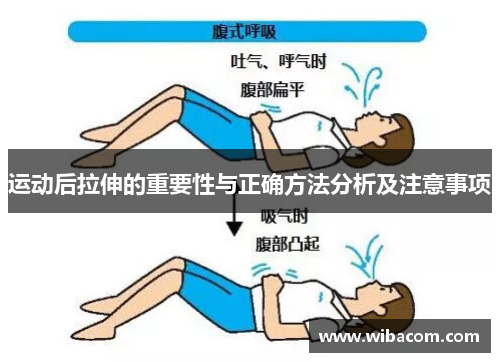 运动后拉伸的重要性与正确方法分析及注意事项