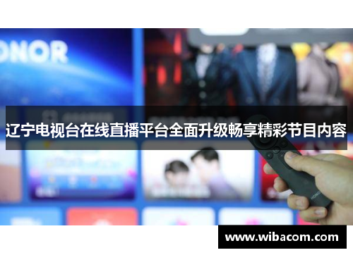辽宁电视台在线直播平台全面升级畅享精彩节目内容