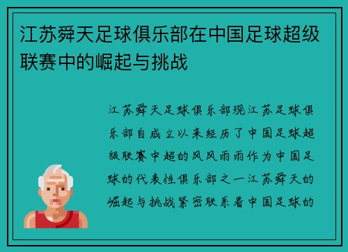 江苏舜天足球俱乐部在中国足球超级联赛中的崛起与挑战