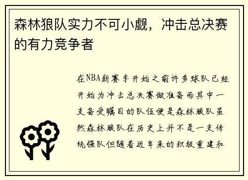 森林狼队实力不可小觑，冲击总决赛的有力竞争者